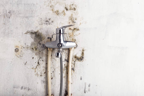 Mold Removal Process in Sacred Heart University, CT
