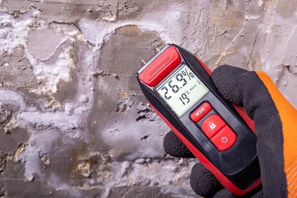 Best Toxic Mold Removal  in Sacred Heart University, CT