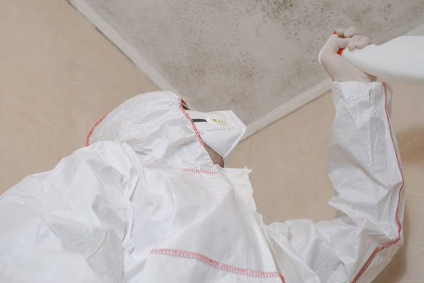 Best Best Mold Removal Companies  in Sacred Heart University, CT