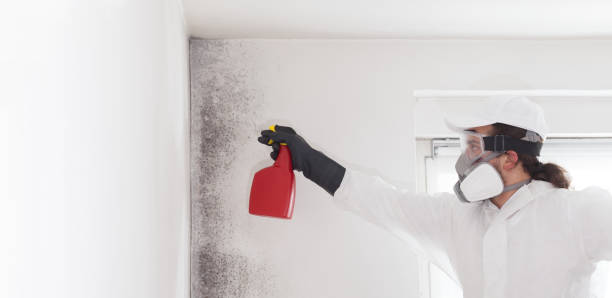 Best Mold Testing  in Sacred Heart University, CT